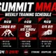 SUMMITMMA