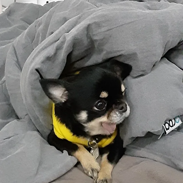 마음의소리