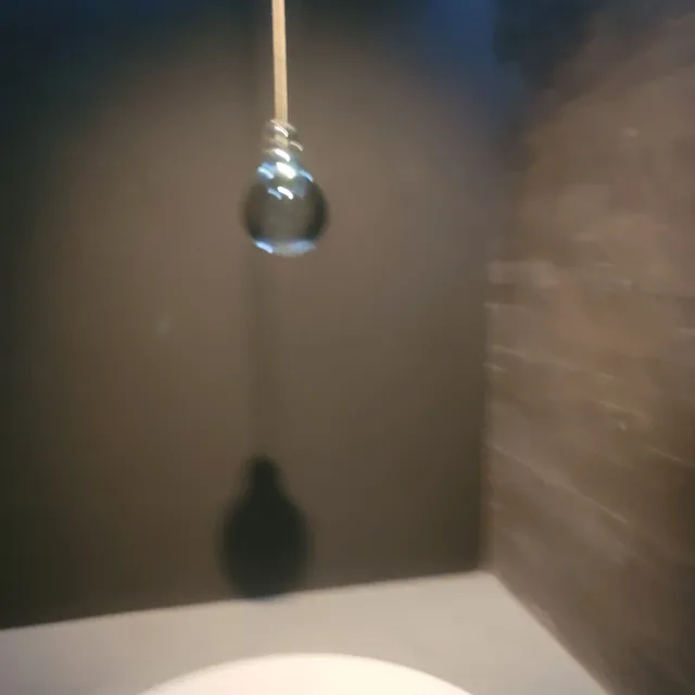 당근사람