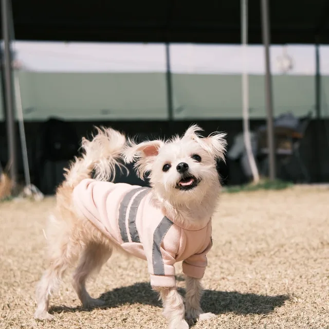 깨롯1004