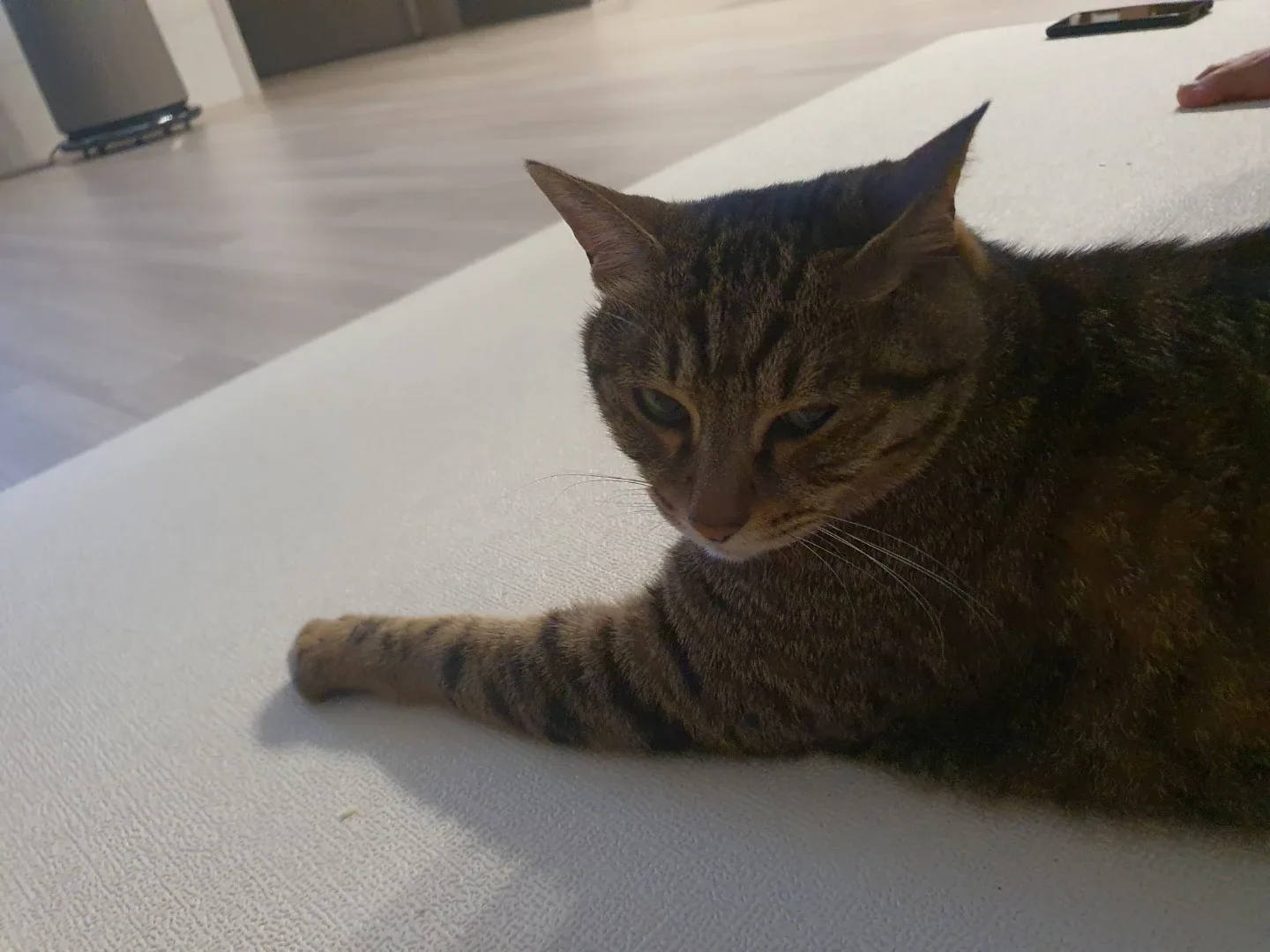마루