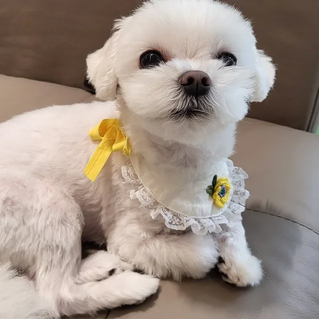다잘될꺼야