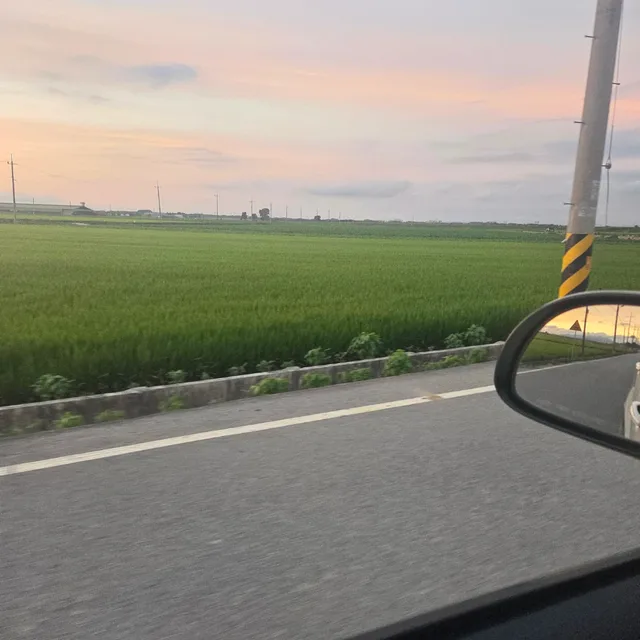 코카