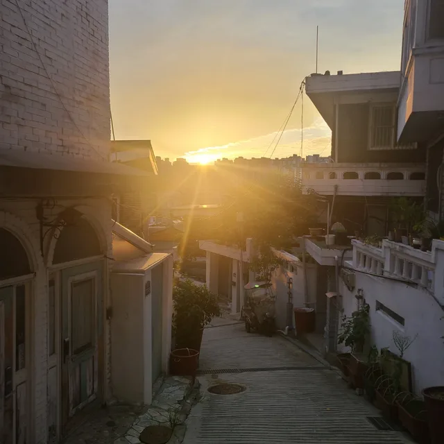 도로팔삼