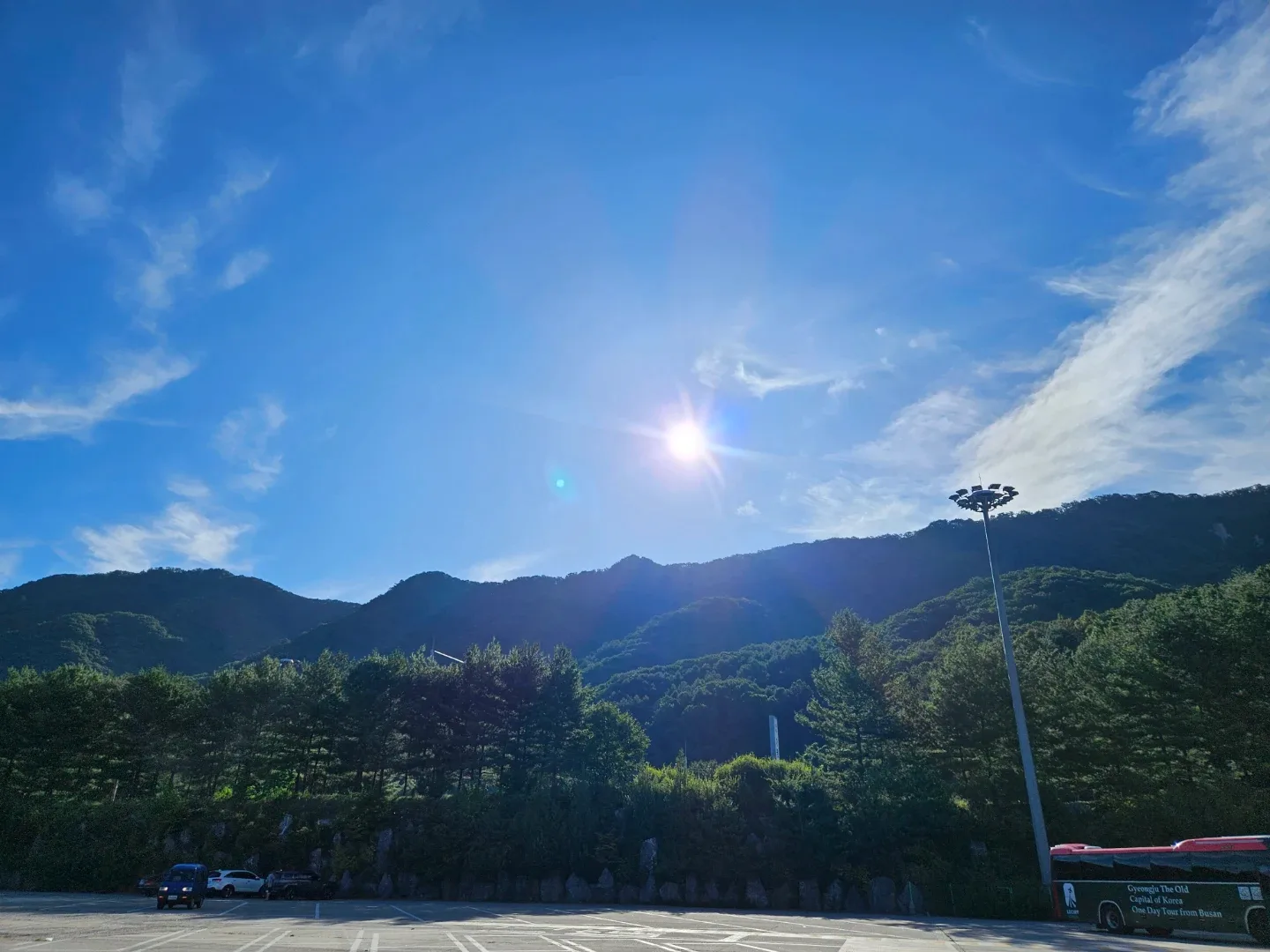 떠오르는돛대