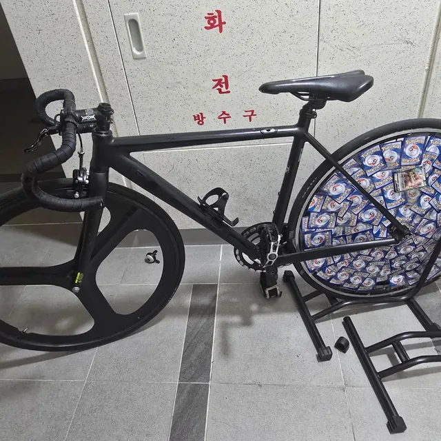 달빛별빛