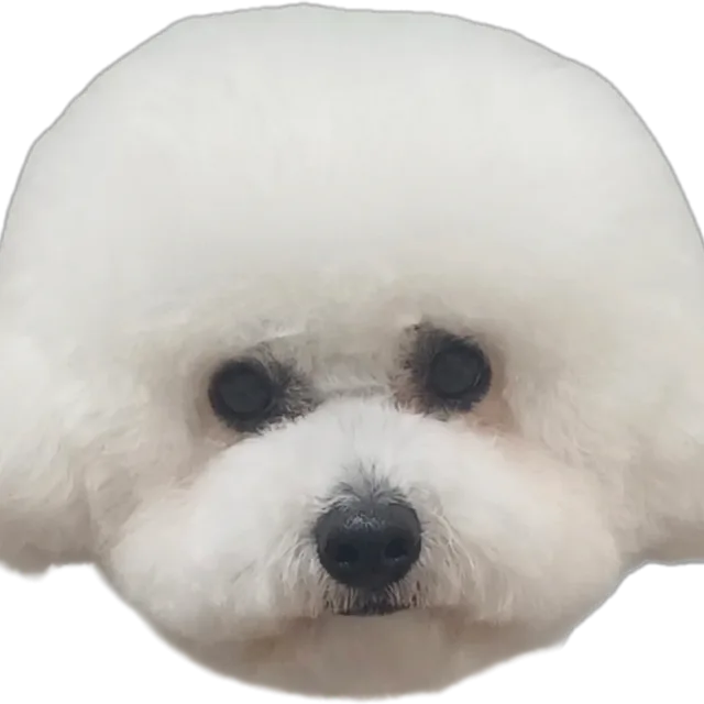 좋은상품착한가격