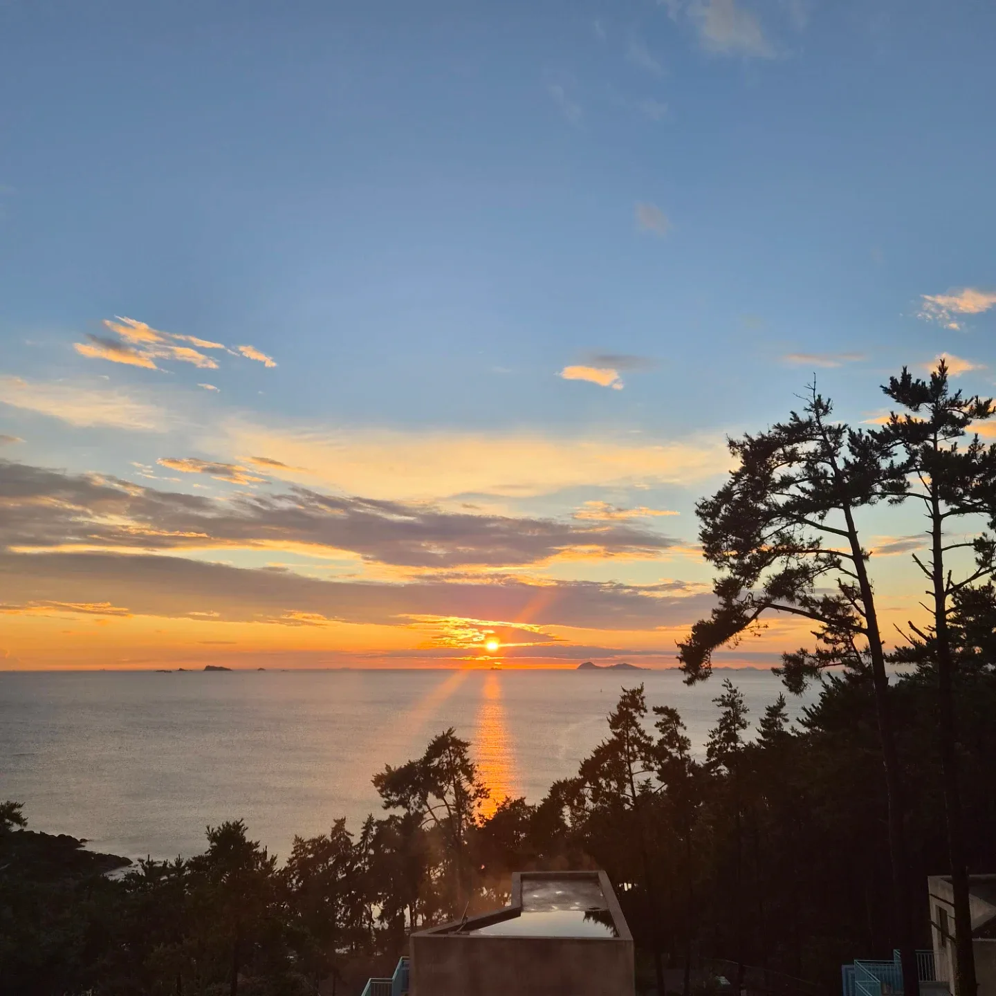 바로봄