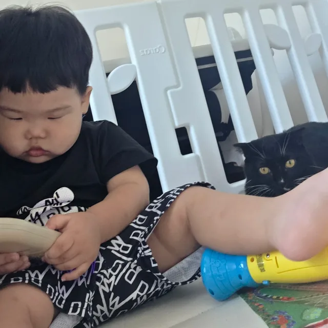 끌올다쓰면새글올려요