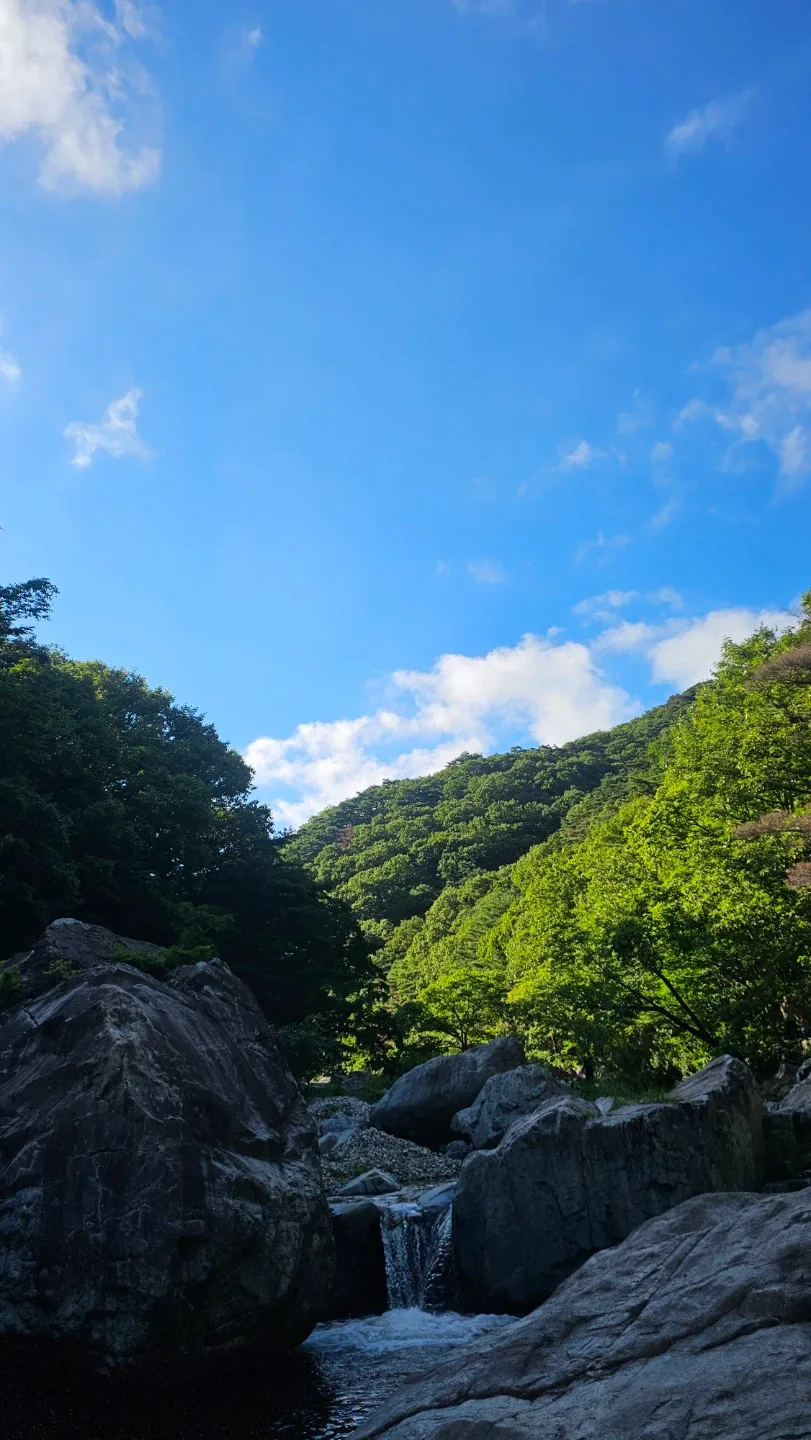 대경