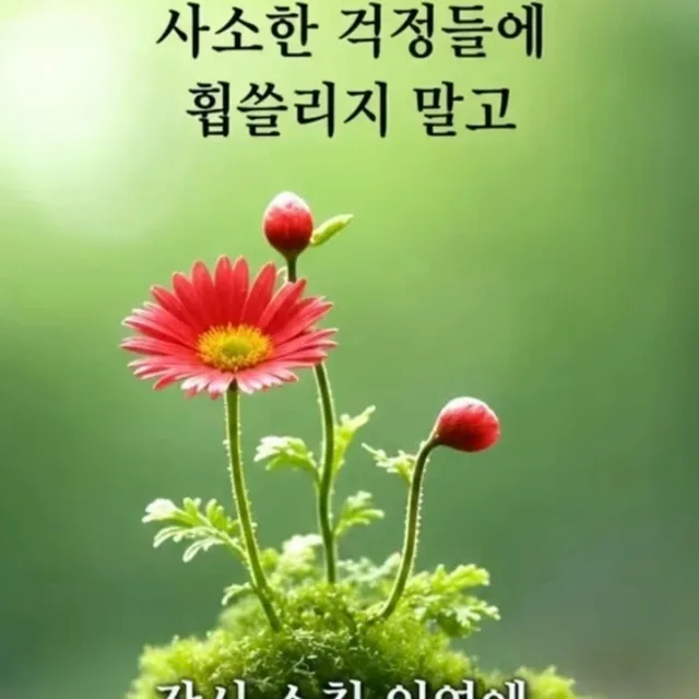 복똘이
