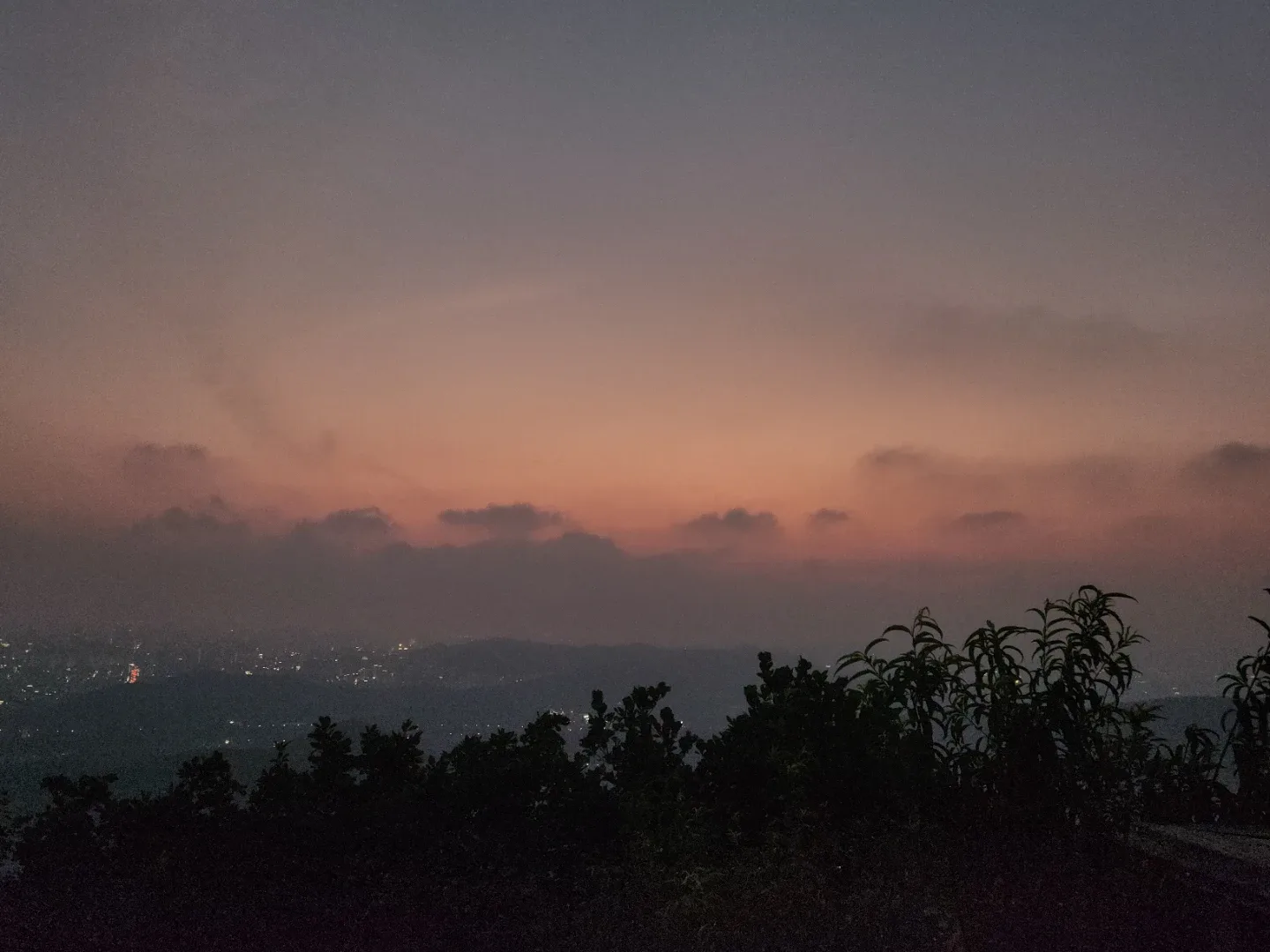 메리
