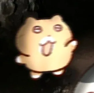 살구