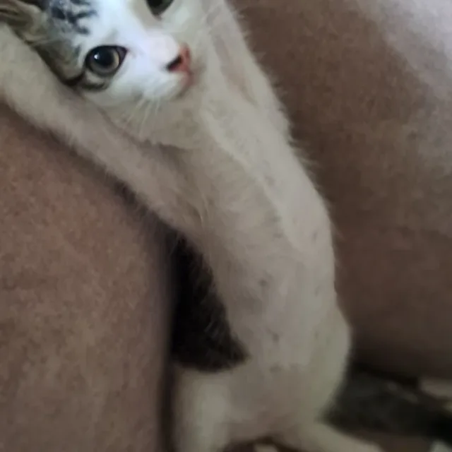 또당근