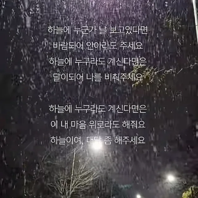 유일한내편