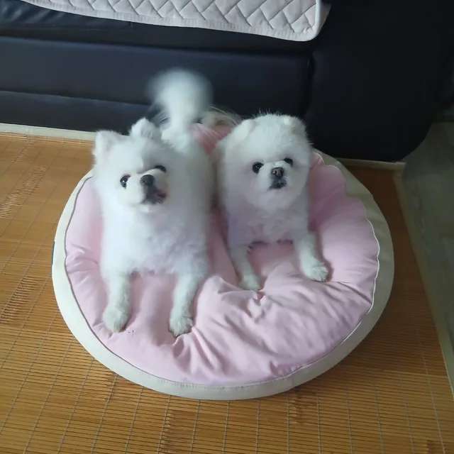 두리뭉실
