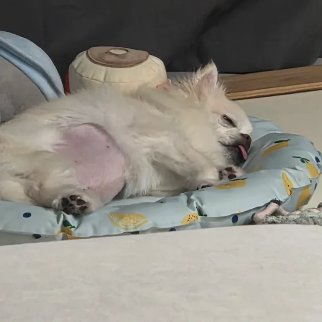 미닝