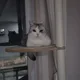 바로고