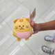 직거래주말에만가능