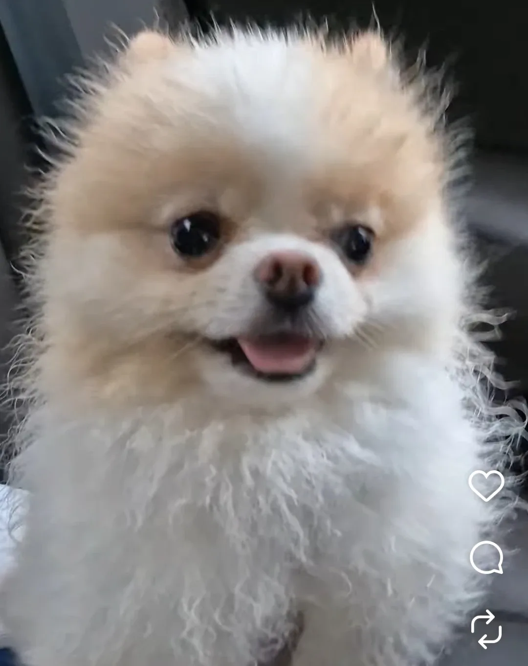느린곰탱이