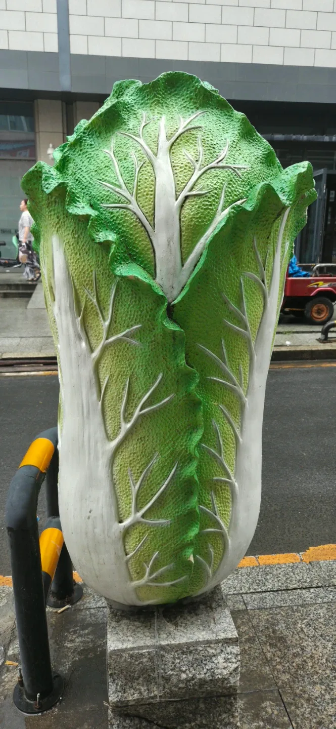 배추