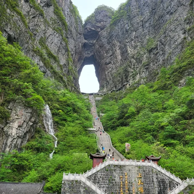 해피자수정