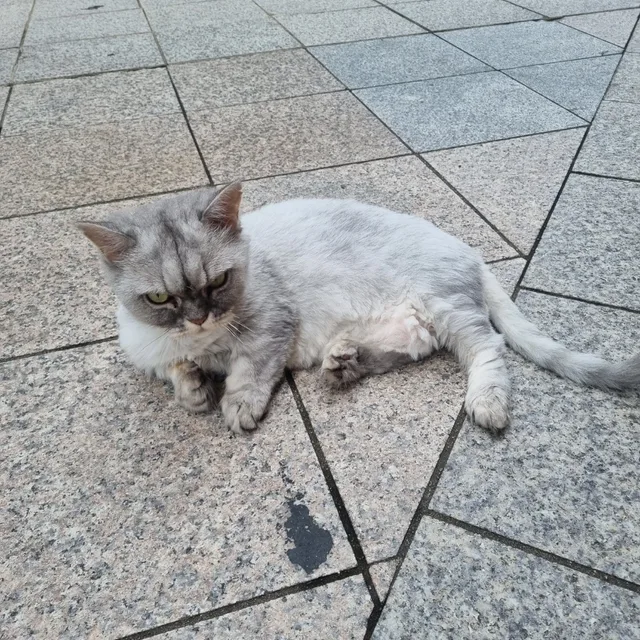 소소한일상
