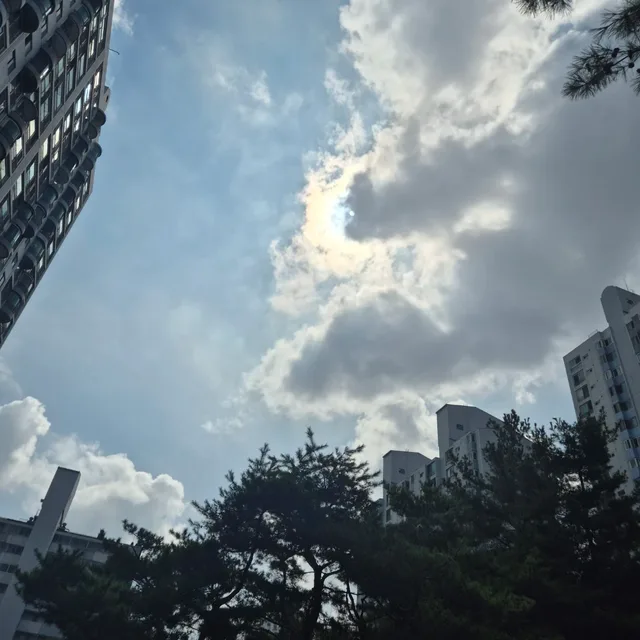 안뇽