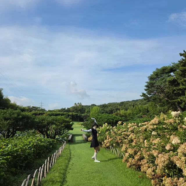 사파이어