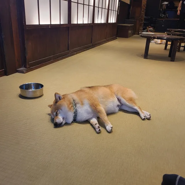 뮬리