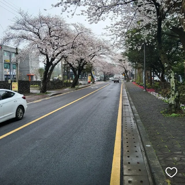 너개미