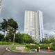 헴록26