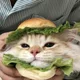 조니