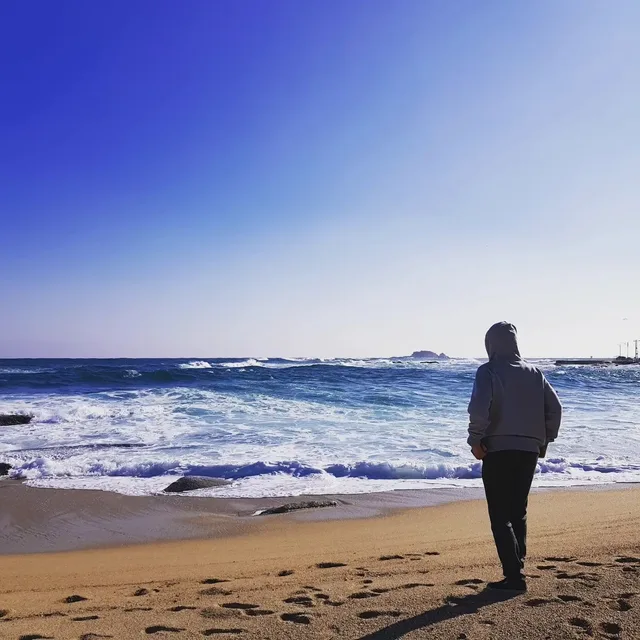 캡틴꼬꼬