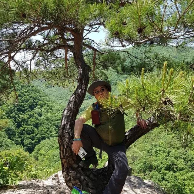 날으는고래