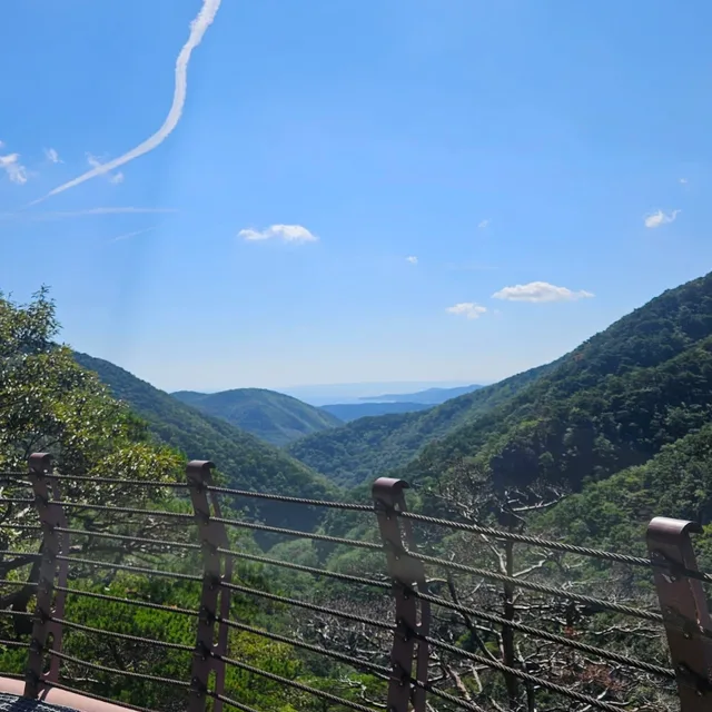 고수