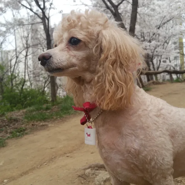 고글판매