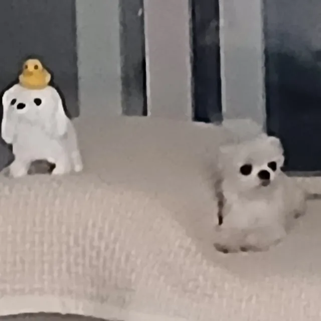 당근이네여