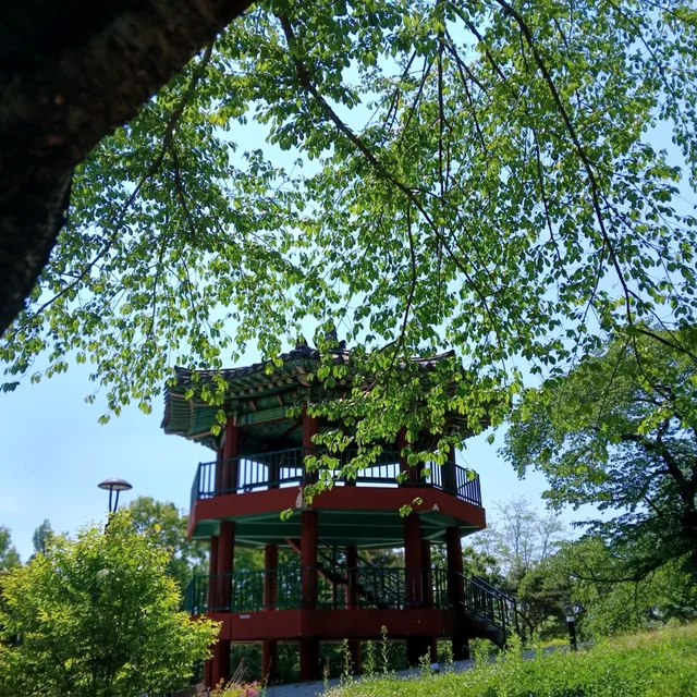 바다