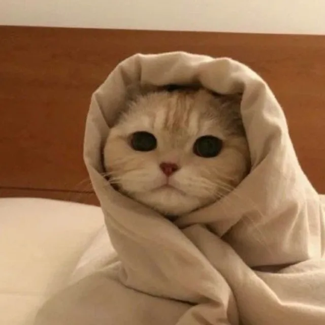 붕어빵