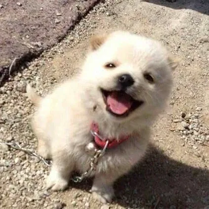 띵딩