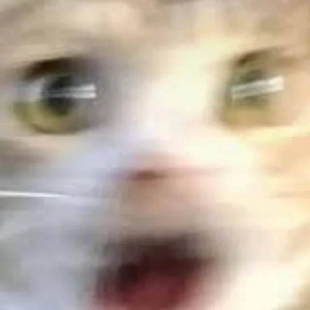 물건정리중
