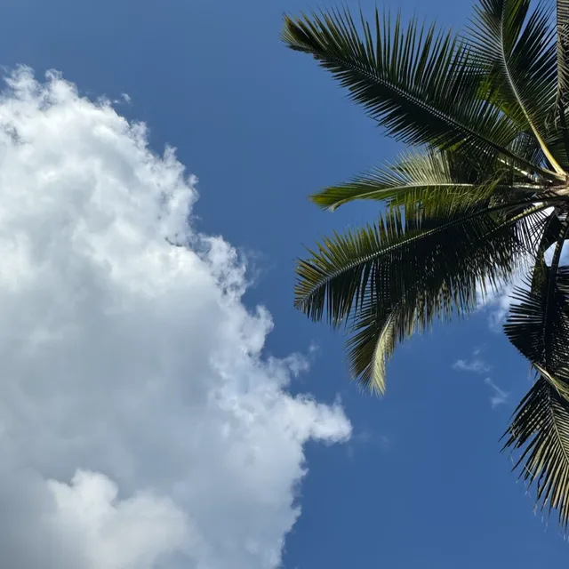 오요