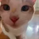 세영이가나가용