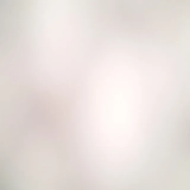 단감