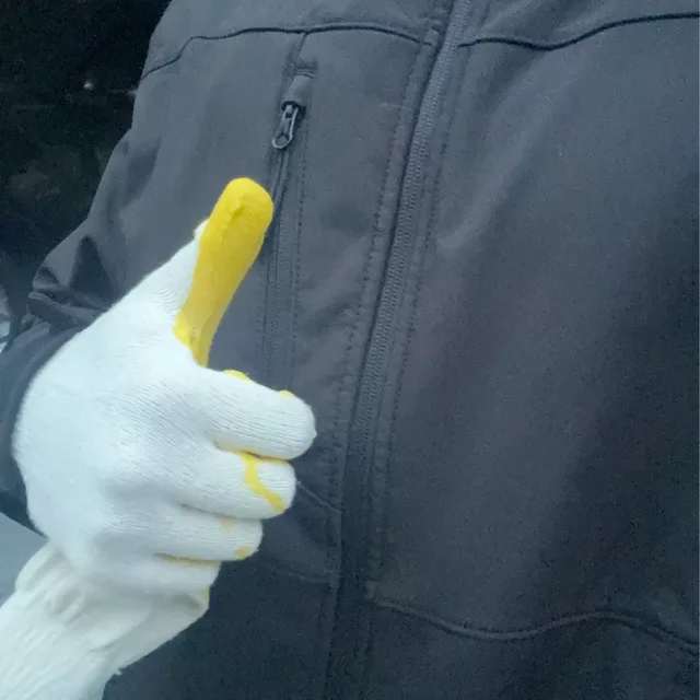 고등어