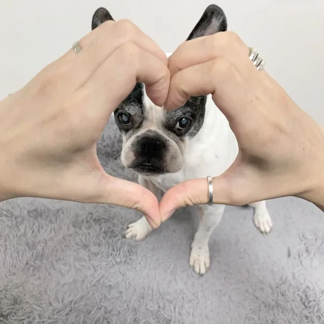 앤조이