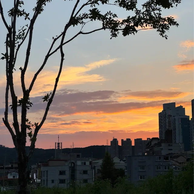 돌맹