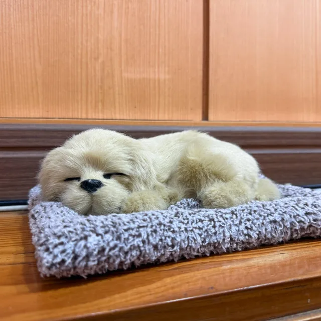 연어초밥