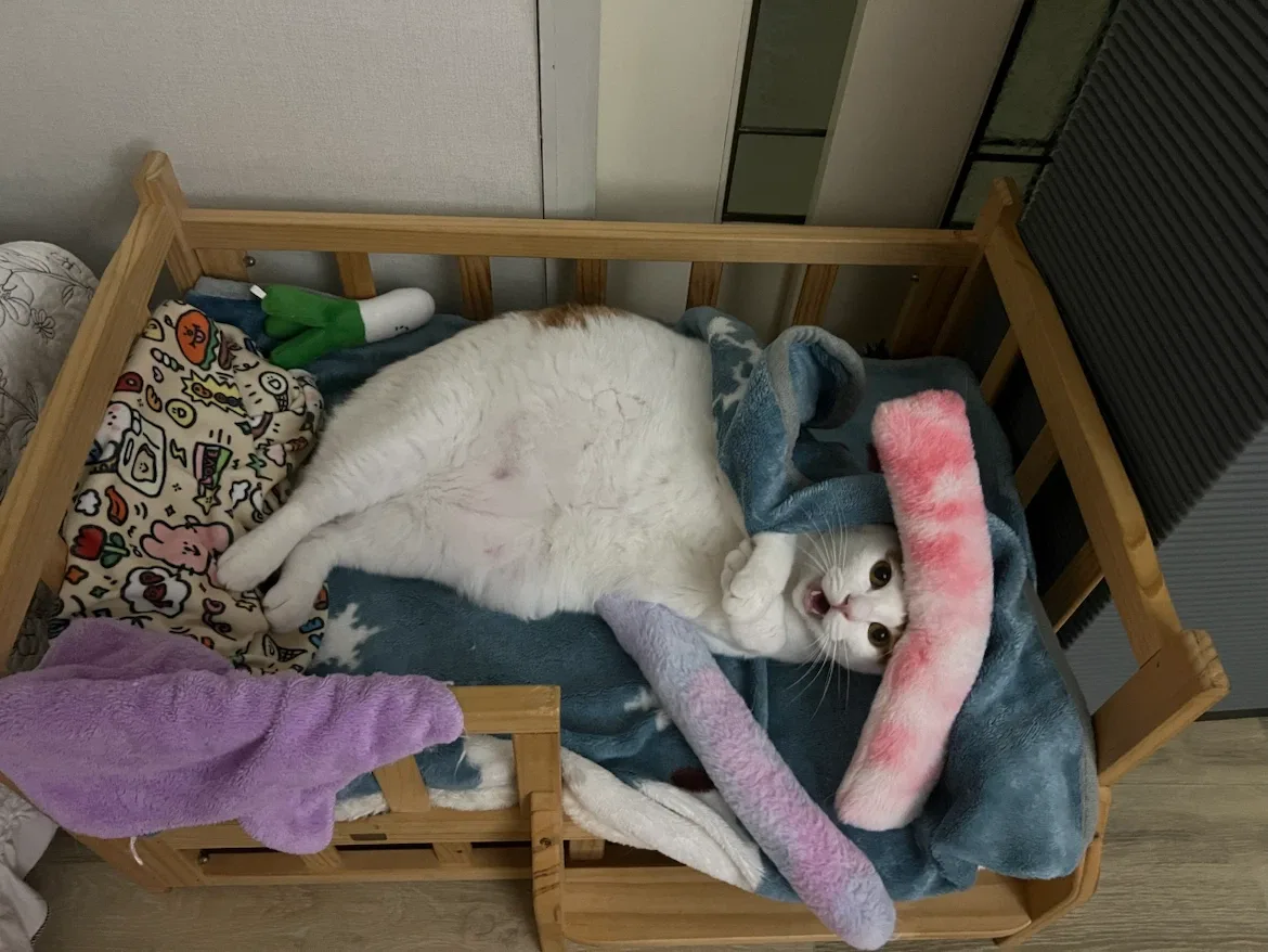 콩이맘